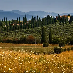  Landhuis Tenuta Di Poggio Cavallo Italië